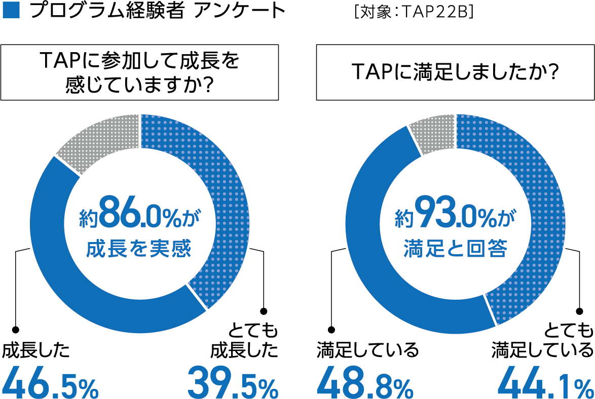 プログラム経験者 アンケート